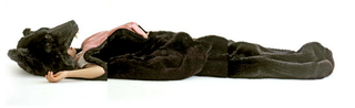 Illustration for article titled Bear Sleeping Bag: Getting Mauled To Death Might Be a Better Option